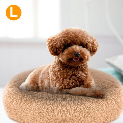 Small brown dog sitting on a round beige pet bed 