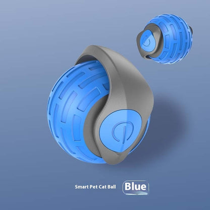 Blue and gray smart pet cat ball on a blue background