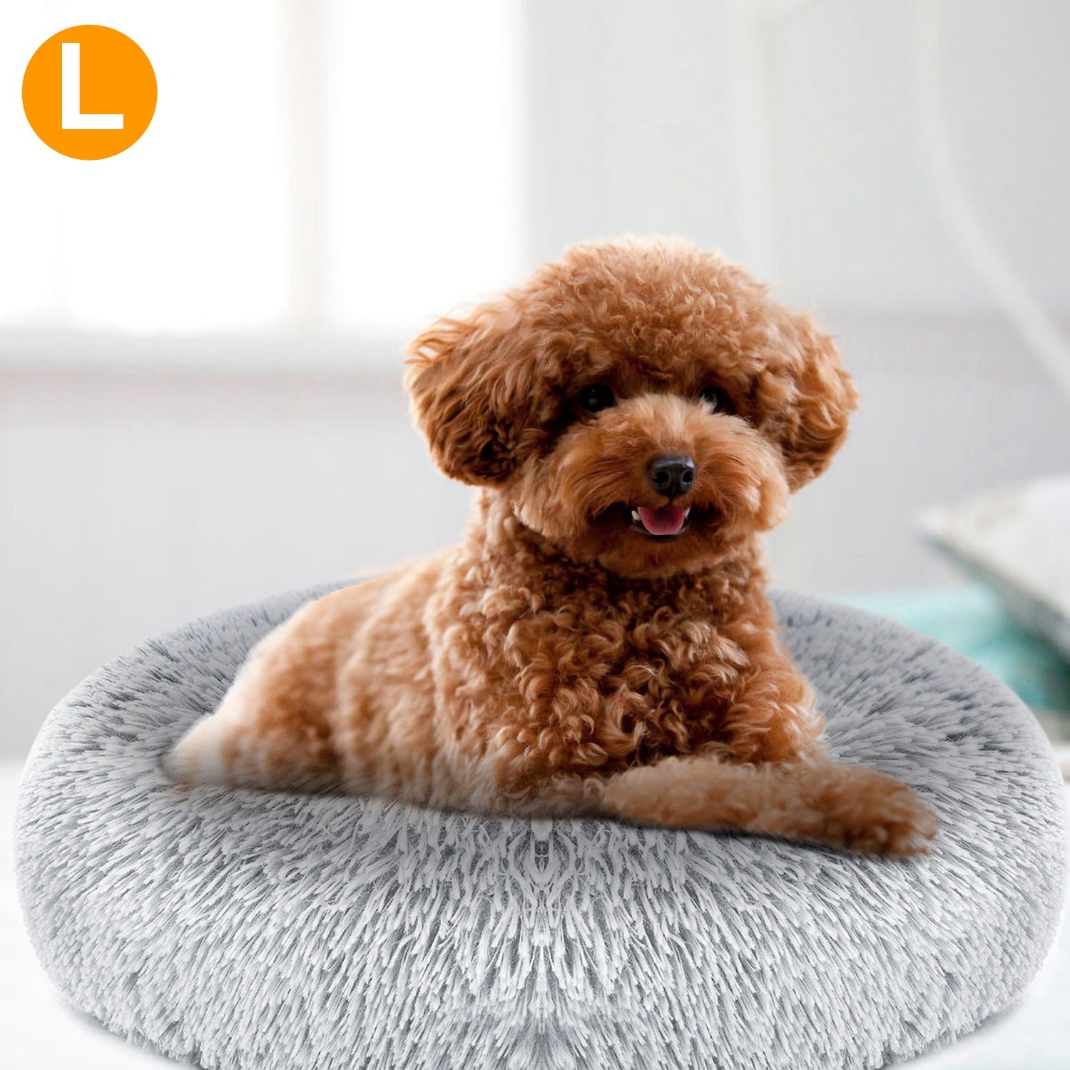 Small brown dog sitting on a fluffy gray pet bed 