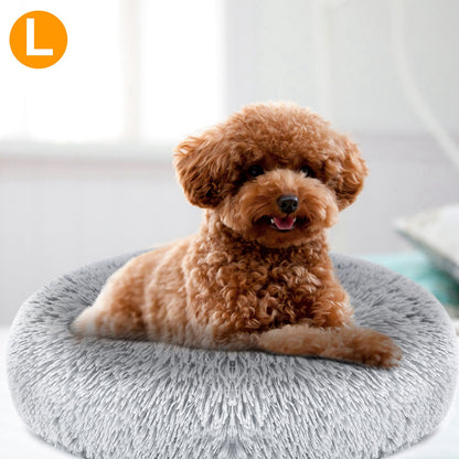 Small brown dog sitting on a fluffy gray pet bed 