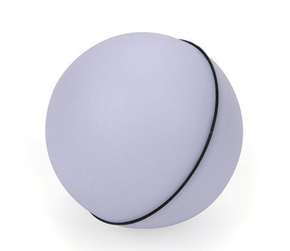 Round purple object with a black rim on a white background