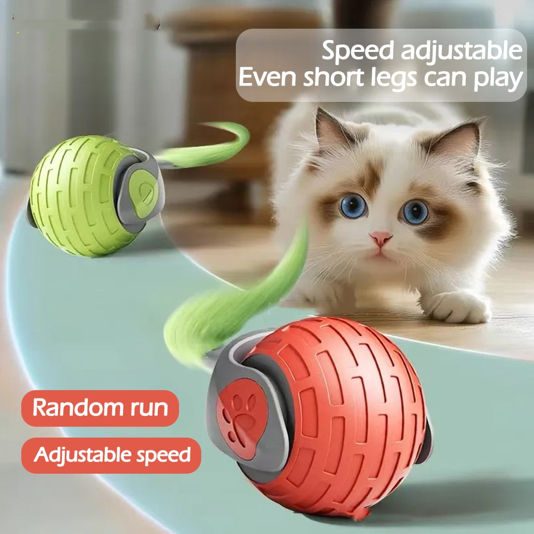 Cat playing with a green and red toy ball on a light blue surface.