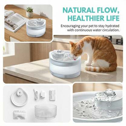 USB-powered pet water fountain with energy-efficient operation