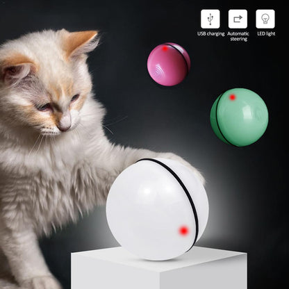 Cat playing with a self-spinning ball toy with USB charging, automatic steering, and LED light features.
