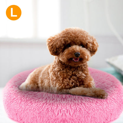 Small brown dog lying on a pink fluffy pet bed with a blurred background